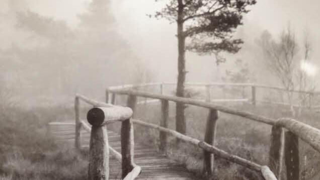 Der Schwarzweiß-Fotografie widmet sich Carmen Spitznagel seit nunmehr zehn Jahren. Diffuse, traurig-schöne Stimmungen abseits gewohnter Sichtweisen stellt sie dar. Foto: Marion Eckert