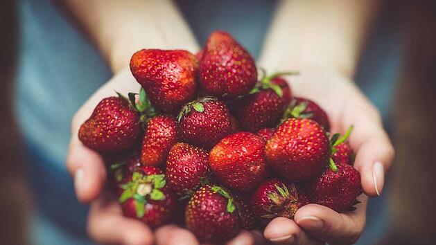 Erdbeeren-von-Unsplash-1.jpg