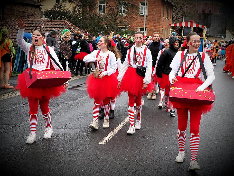 Fasching 2024 in Steinach