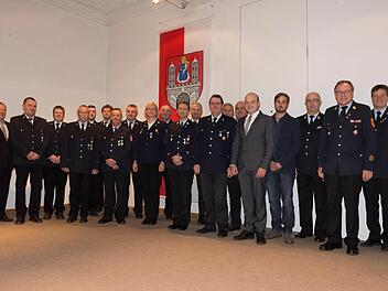 Die Geehrten vor dem Münnerstädter Wappen, im Bild zu sehen sind außerdem Landrat Thomas Bold (links), 2. Bürgermeister Michael Kastl (5. von rechts), Johannes Röß (Referent für Feuerwehr und Brandschutz, 4. von rechts), Kreisbrandinspektor Ronald Geiß (3. von rechts), Kreisbrandrat Benno Metz (2. von rechts) und Kreisbrandmeister Guido Schneider (rechts).  Foto: Björn Hein