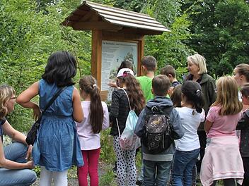 Die Kinder des Ökumenischen Kinderhorts freuen sich, dass ihnen Stadtförsterin Carmen Hombach (hinten, rechts) erklärt, was im Steinhaufen alles kreucht und fleucht.  Foto: Stephan Tiroch