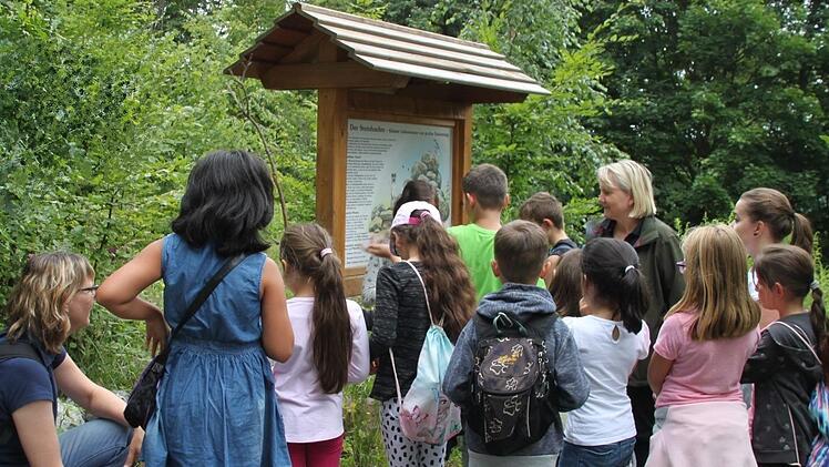 Die Kinder des Ökumenischen Kinderhorts freuen sich, dass ihnen Stadtförsterin Carmen Hombach (hinten, rechts) erklärt, was im Steinhaufen alles kreucht und fleucht.  Foto: Stephan Tiroch
