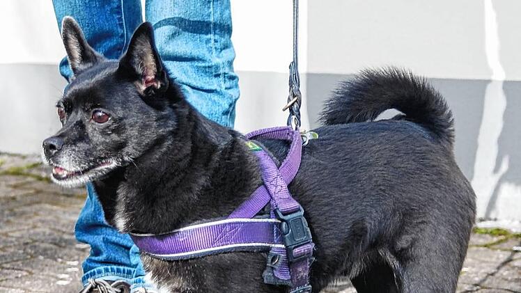 Teddy: Die &bdquo;arme Socke&ldquo; will raus