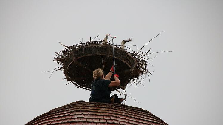 Trotz des Regens beobachteten gestern Passanten Elisabeth Assmann beim Füttern der Störche. Foto: Ralf Ruppert