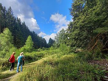 Die Nachbarlandkreise in Unterfranken schlagen in punkto Biosphärenreservat getrennte Wege vor. Unabhängig davon wirbt der Spessartbund unter trekkingspessart.de für Trekking-Touren durch das große Waldgebiet.     Foto: Peter Völker, Spessartbund
