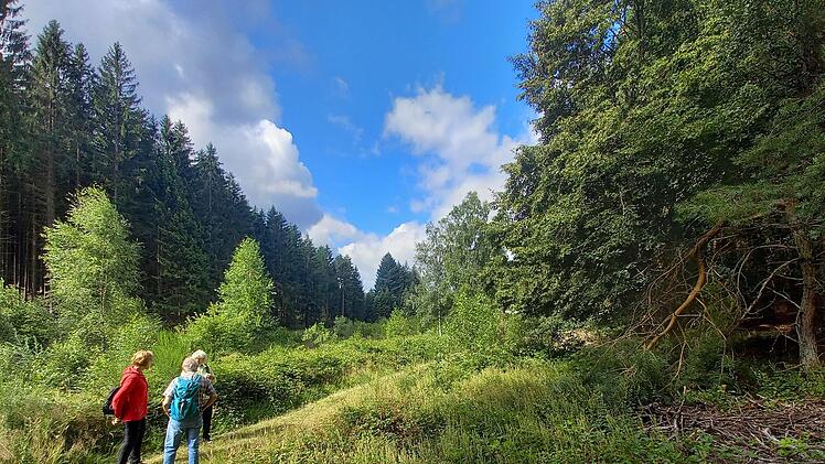 Die Nachbarlandkreise in Unterfranken schlagen in punkto Biosphärenreservat getrennte Wege vor. Unabhängig davon wirbt der Spessartbund unter trekkingspessart.de für Trekking-Touren durch das große Waldgebiet.     Foto: Peter Völker, Spessartbund