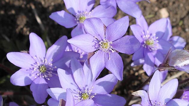 Foto: Jupp Schr&ouml;der