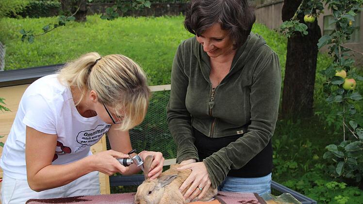 Tierärztin im Einsatz.