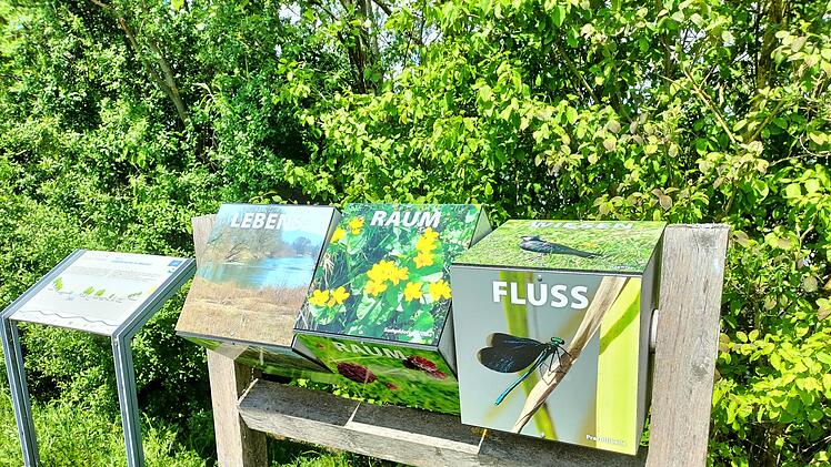 Landkreis Lichtenfels: Diese drei Badeseen sind mit der "Blauen Flagge" ausgezeichnet