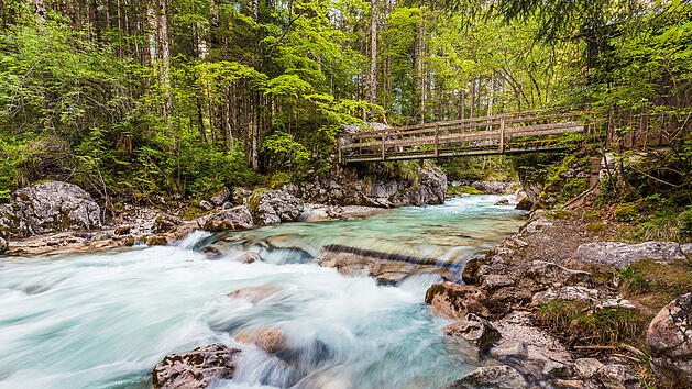 Deutschlands beliebteste W&auml;lder - Platz 1: Zauberwald