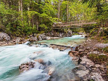 Deutschlands beliebteste W&auml;lder - Platz 1: Zauberwald