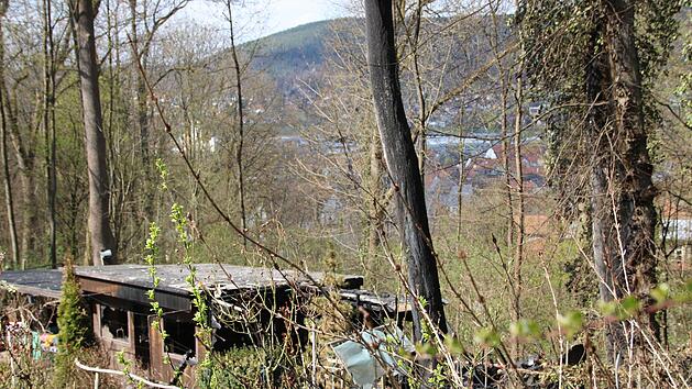 Der betroffene Garten zwei Tage nach dem Brand: angesengte Balken, Bäume mit verkohlter Rinde.Foto: Katrin Geyer