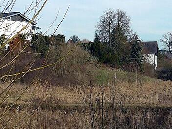 Die Weiher in Erlach sollen zu Regenrückhaltebecken für den Fall von Starkregen umgebaut werden. Darauf einigte sich der Walsdorfer Gemeinderat in seiner jüngsten Sitzung. Foto: Richard Reiser