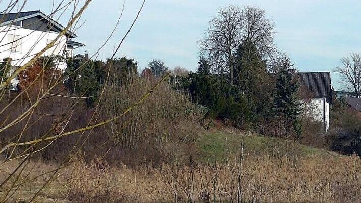 Die Weiher in Erlach sollen zu Regenrückhaltebecken für den Fall von Starkregen umgebaut werden. Darauf einigte sich der Walsdorfer Gemeinderat in seiner jüngsten Sitzung. Foto: Richard Reiser