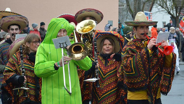 Faschingszug in Steinach 2018, Foto:   Björn Hein