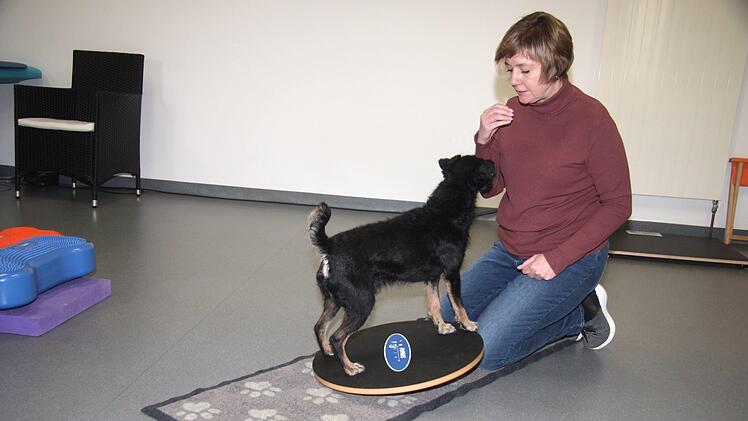 Martina Söte mit dem pfiffigen Alfi, der alles mitmacht macht