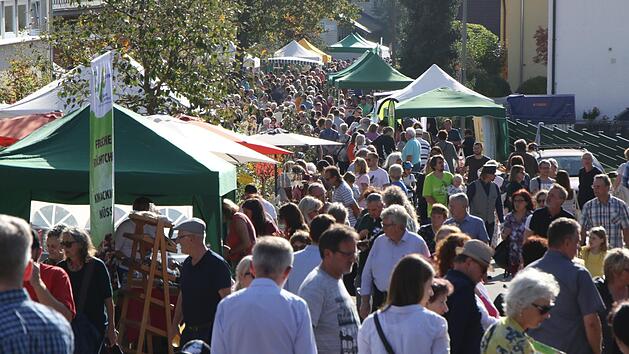 Und der Altweibersommer tat ein &Uuml;briges: Blick &uuml;ber eine dicht bedr&auml;ngte "Flaniermeile" mit Marktst&auml;nden in Strullendorf  Fotos: Bertram Wagner