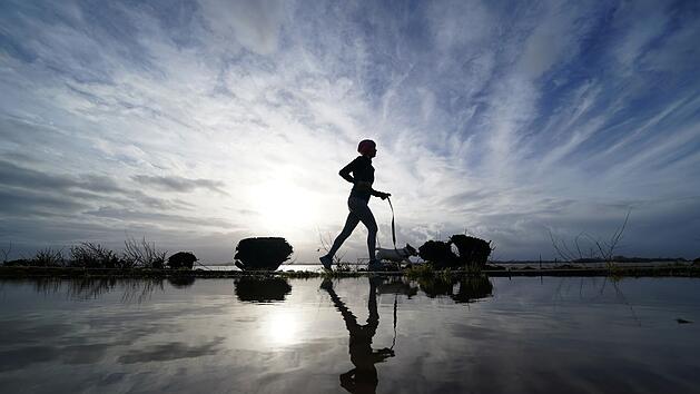 Hunde-Attacke auf Joggerin in Ha&szlig;furt: Polizei sucht Zeugen