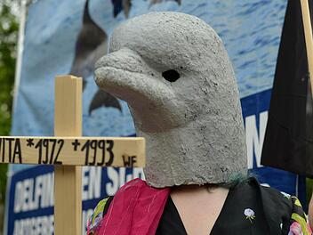 Kreativer Protest: Auf Kreuze und auf Grabsteinen hatten die Tierschützer den Todestag und die Todesursachen von den bislang in Nürnberg gestorbenen Delfinen geschrieben. Fotos: Nikolas Pelke
