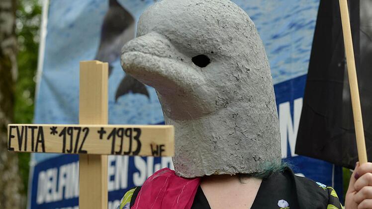 Kreativer Protest: Auf Kreuze und auf Grabsteinen hatten die Tierschützer den Todestag und die Todesursachen von den bislang in Nürnberg gestorbenen Delfinen geschrieben. Fotos: Nikolas Pelke