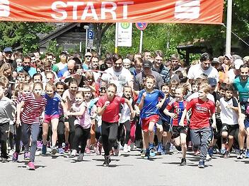 Klein und Groß beim Start zum 19. Babenberger Volkslauf Foto: p