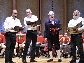Wolfgang Miller, Dieter Krug, Bernd Schraut und Michl Schulz (von links) brillierten beim Fränkischen Heimatabend als die "Maßbacher Sinnphoniker". Foto: Peter Klopf