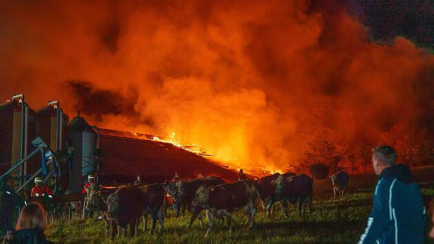 Neumarkt: Millionenschaden bei Brand in Kuhstall