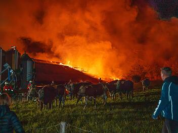 Neumarkt: Millionenschaden bei Brand in Kuhstall