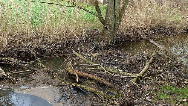 Au&szlig;erhalb der Ortsbebauung scheinen die Bauma&szlig;nahmen von Justin (noch) niemand zu interessieren. Fotos: Dieter H&uuml;bner