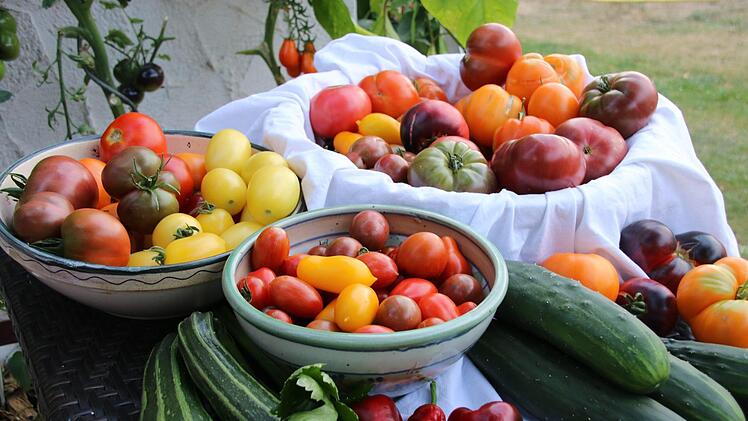 Eine schöner als die andere: Michaela Dörnhöfers TomatenDagmar Besand