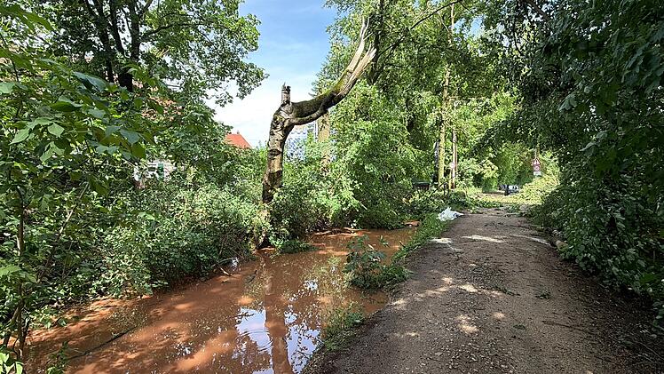 Heftige Gewitterfront trifft Mittelfranken: B&auml;ume st&uuml;rzen auf H&auml;user - Deutscher Wetterdienst warnt vor weiteren Gewittern