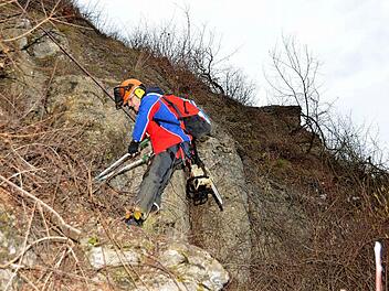 Luis Trenker hätte seine wahre Freunde daran gehabt: Im Rucksack hatten die Berwachtler aus Oberbach diesmal auch Motorsäge und Astschere, galt es doch das "Wahrzeichen von Elfershausen" die Falkenwand zu entbuschen. Fotos: Peter Rauch