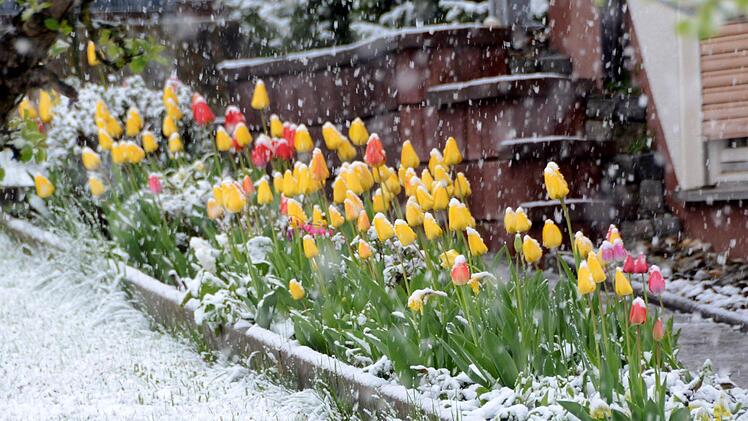 Schnee an Ostern in Bad Kissingen Foto: Peter Rauch