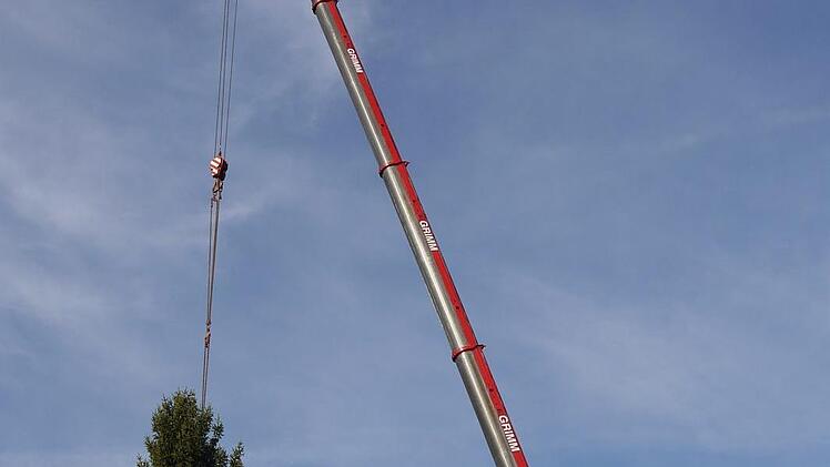 Gestern  hat das  Team des städtischen Bauhofs den  Weihnachtsbaum auf den Neustadter Marktplatz gebracht.Berthold Köhler