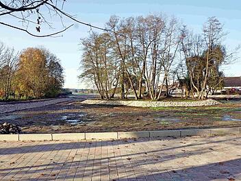 Das Westufer des Badweihers im Hintergrund wird als Flachwasserzone gestaltet. Foto: Richard Sänger