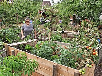 Margarete Dorsch steht an ihren Hochbeeten. Dort kann alles wachsen und gedeihen.  Fotos: Helmut Will