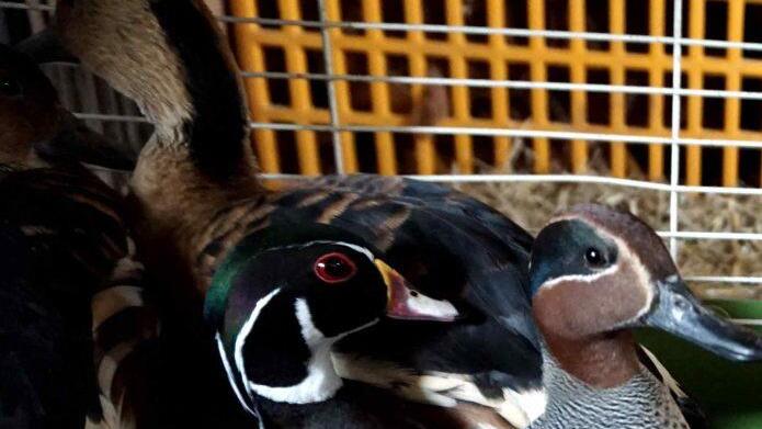 Foto: Richard Sänger