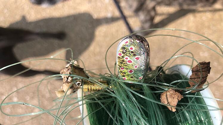 Tierheim Bamberg: "Erschreckender Fund" - Tierheim-Mitarbeiter finden gefährlichen Müll