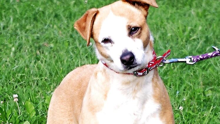 Die kleine Spanierin Peca Foto: pr