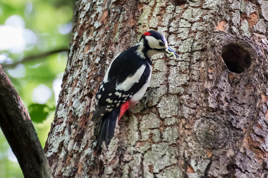 Fotos Konrad Thomann