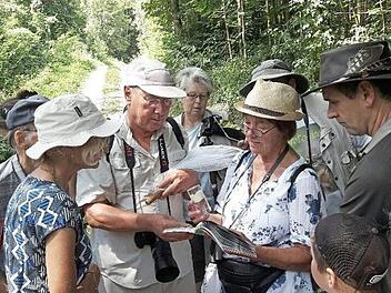 Der Bund Naturschutz begab sich bei einer Exkursion auf die Spuren der Tagfalter. Foto: privat