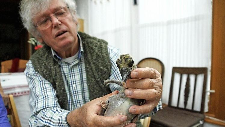 Jochen Willecke mit dem kleinsten Küken Fotos: Arkadius Guzy