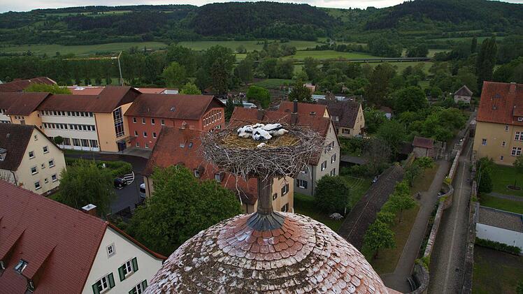 Diesen Ausblick haben sonst nur die Störche.Foto: Sebastian Vogler
