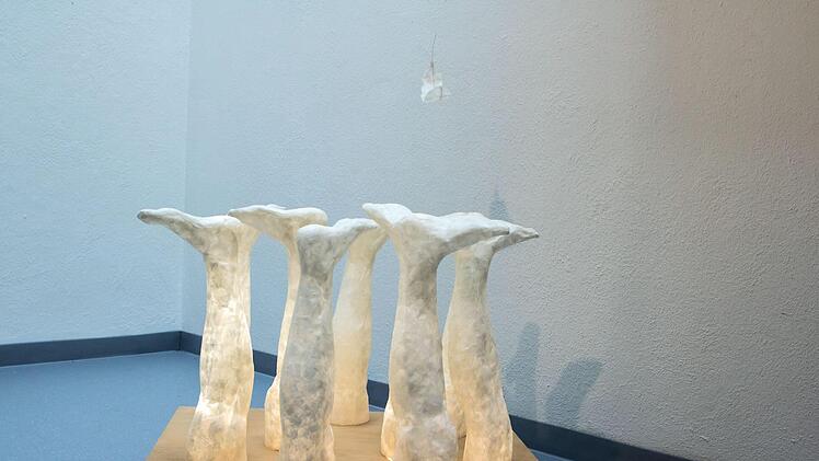 Impressionen aus dem Coburger Kunstverein in Zeiten der Corona-Krise - Blick in die Ausstellung mit Arbeiten von Sue Hayward.Foto: Jochen Berger