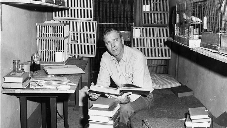 Robert Franklin Stroud (Burt Lancaster) wird im Gef&auml;ngnis bald "Birdman" genannt: Er erforscht intensiv das Verhalten von V&ouml;geln, was ihm zur neuen Lebensaufgabe wird.