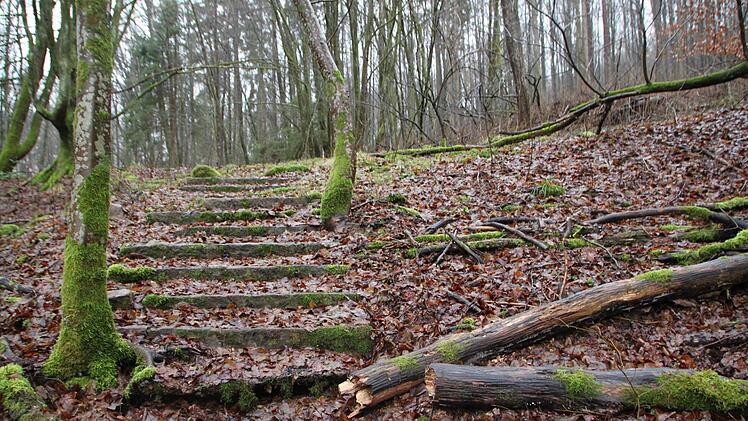 Im Wald hinter Detter: Eine alte Treppe zeugt davon, dass hier einst große Pläne geschmiedet wurden. Foto: Ulrike Müller