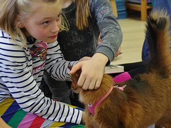 Tierischer Besuch an der Schule: Die Mitwitzer Lesekatzen. Foto: Marco Meißner