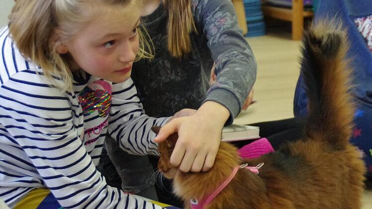 Tierischer Besuch an der Schule: Die Mitwitzer Lesekatzen. Foto: Marco Meißner