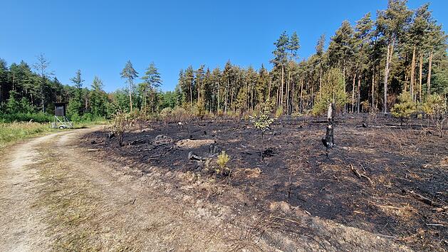 Waldbrand bei Oberhaid