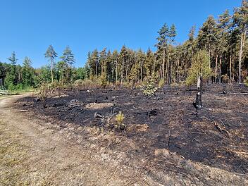 Waldbrand bei Oberhaid